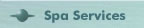 Chicago Mens Spa Services